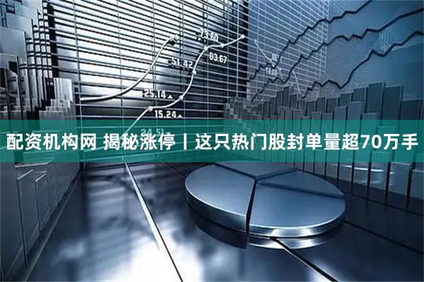 配资机构网 揭秘涨停丨这只热门股封单量超70万手