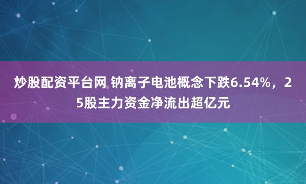 炒股配资平台网 钠离子电池概念下跌6.54%，25股主力资金净流出超亿元