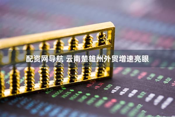 配资网导航 云南楚雄州外贸增速亮眼